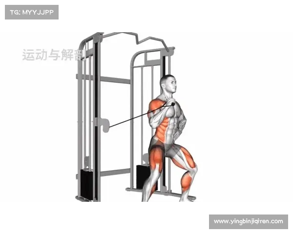 拉力器的多功能使用方法与锻炼效果解析,助力全身肌肉塑形与力量提升 拉力器的多功能使用方法与锻炼效果解析,助力全身肌肉塑形与力量提升